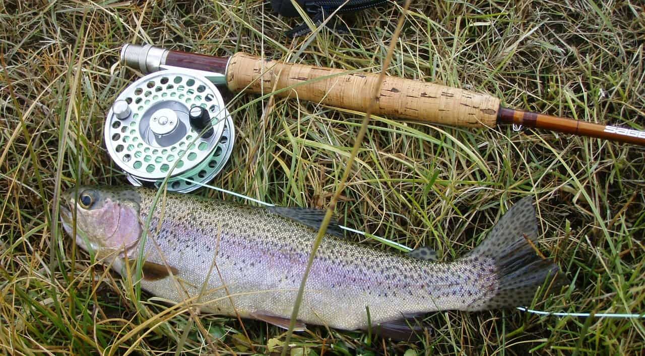 How To Bottom Fish For Trout FishingWithBait, 49% OFF
