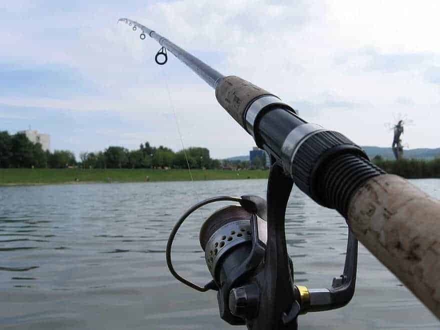 Ranking the Best Fishing Rods of 2024