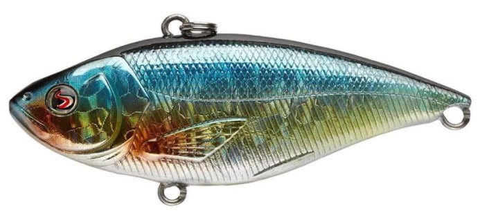 8 Best Saltwater Fishing Lures Guaranteed to Succeed