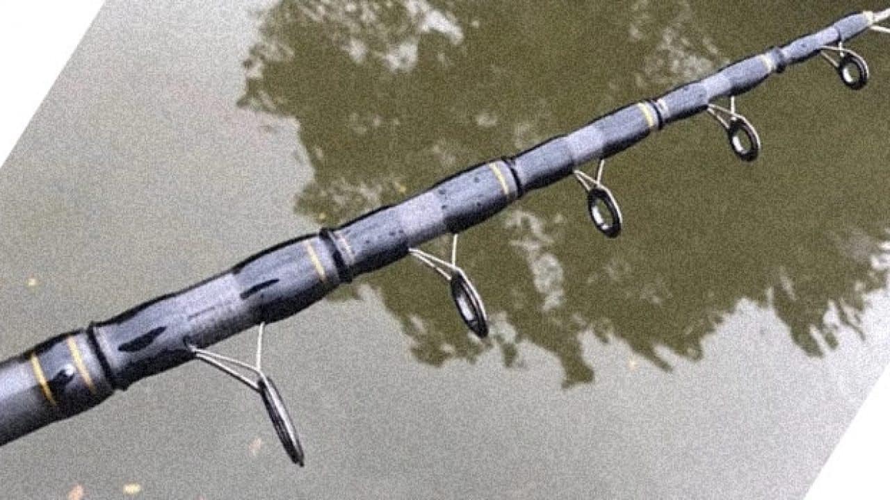 Best Telescopic Fishing Rods of 2024: Expert Guide