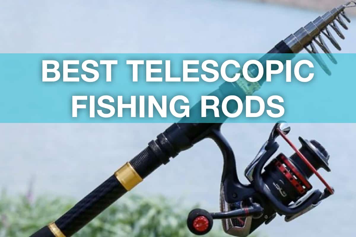 Best Buy: Wakeman Telescopic Rod and Reel Fishing Pole Matte Black
