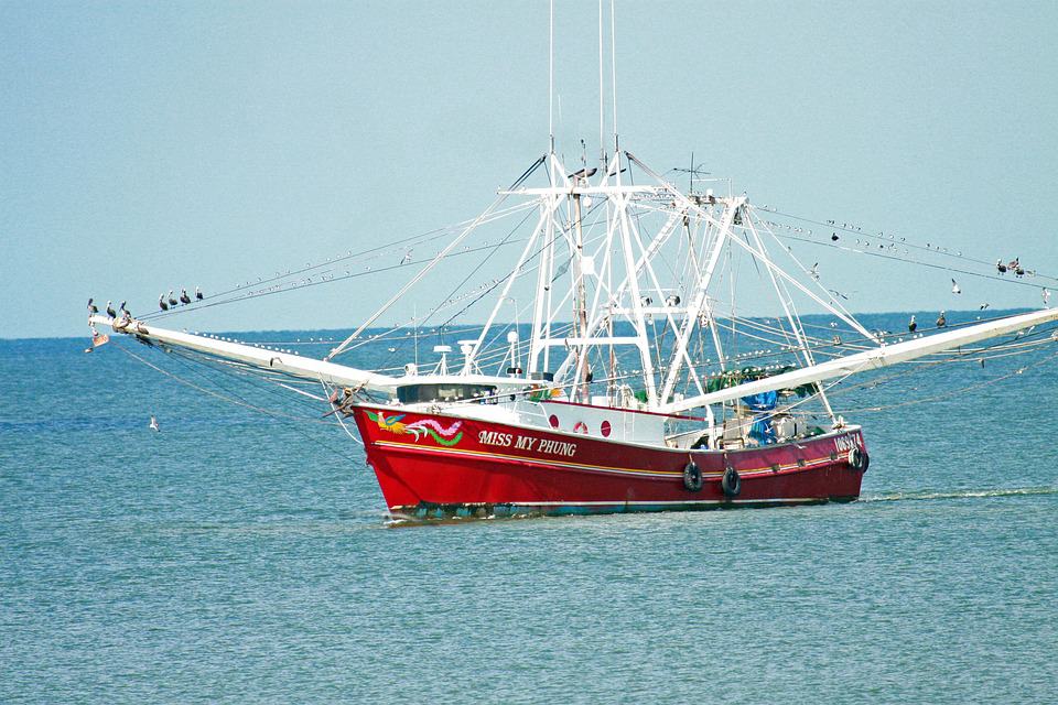 how long do shrimp boats stay out